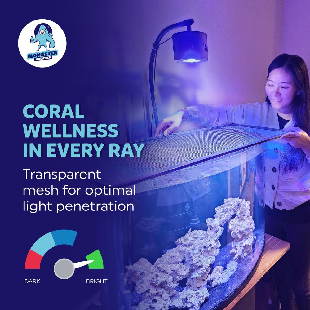 Clear Mesh Netting Material - 4'x5' - Plastic Screen 4'x5', White