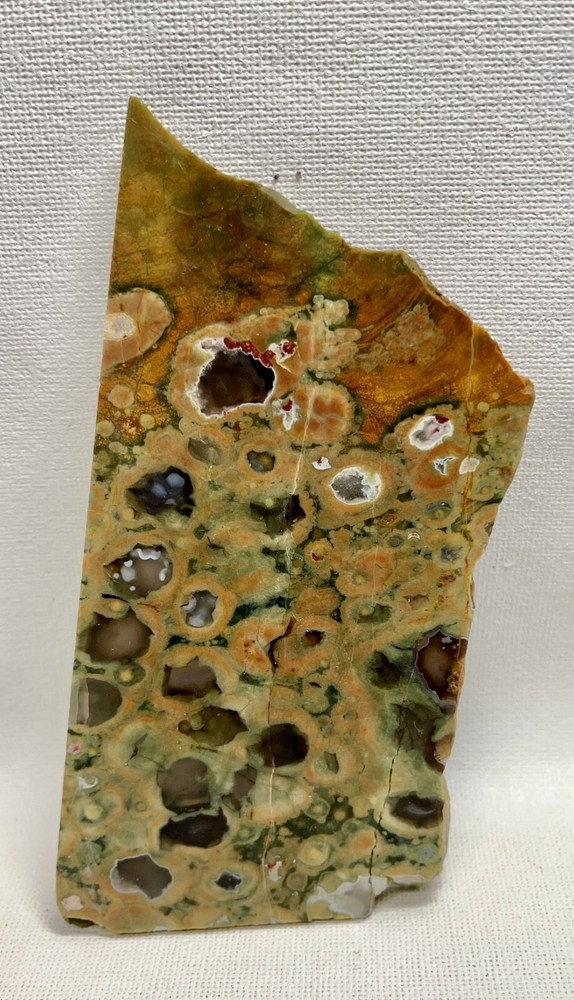 Rain Forest Jasper 116gm Gem Lapidary Slab