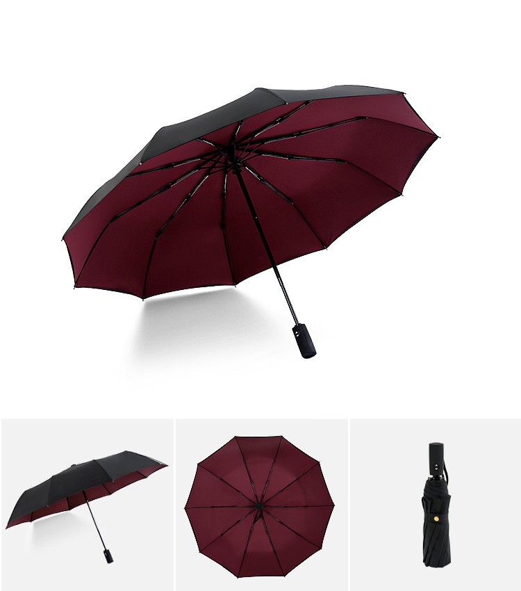 Automatic Windproof Travel Umbrella Double Layer 10 Rib Compact Rain Sun UPF40+