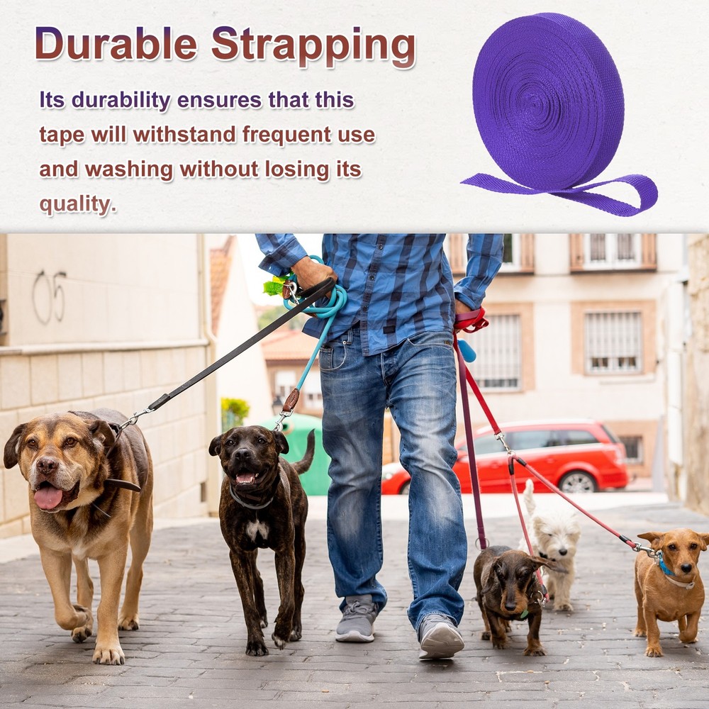 Nylon Webbing Strap, 22 Yards x 1" Polypropylene Flat Webbing Strap (Purple)