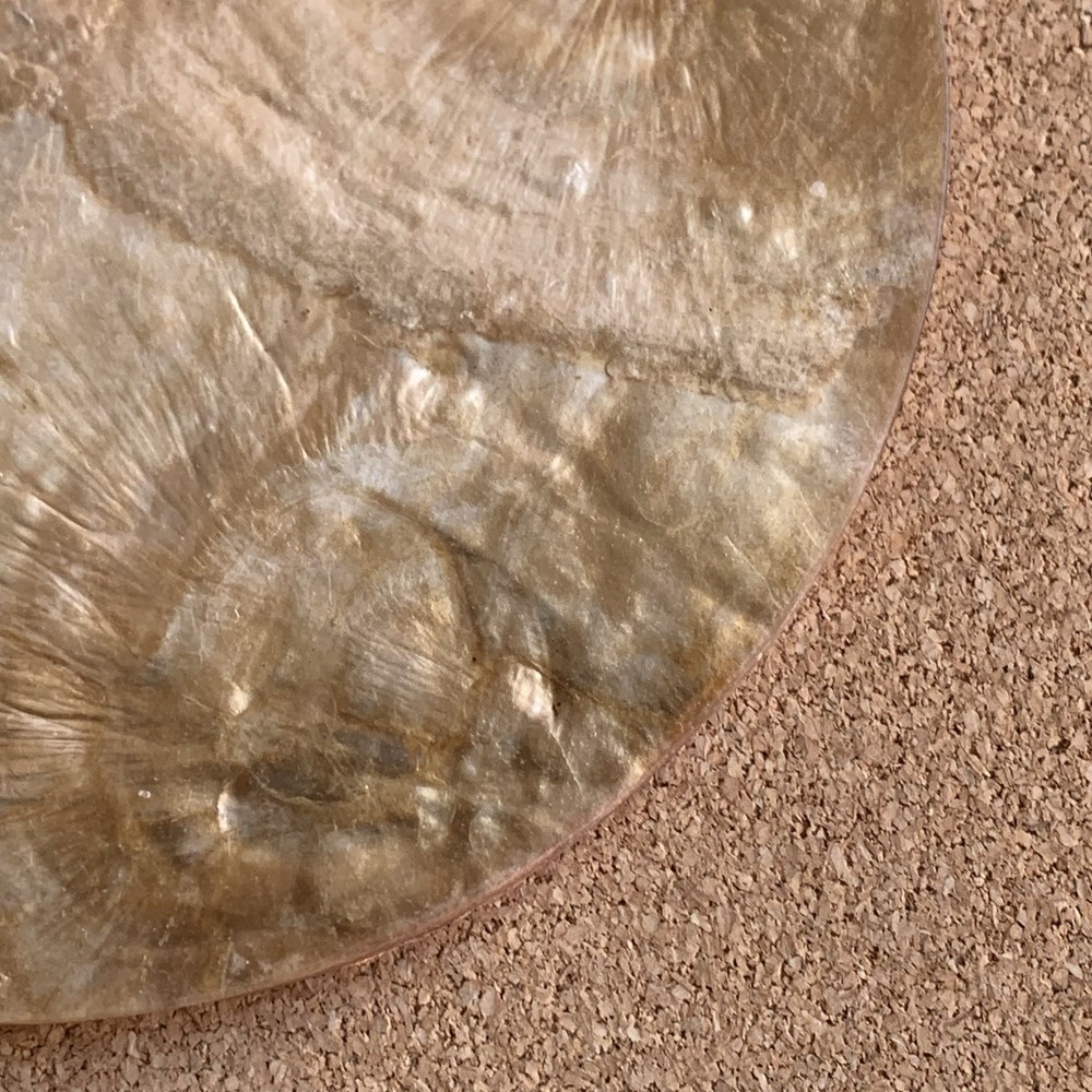 Set Of 4 Capiz Shell Coasters 4”