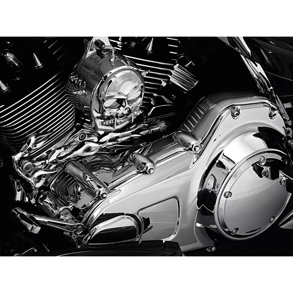 Kuryakyn 7780 Inner Chrome Primary Cover