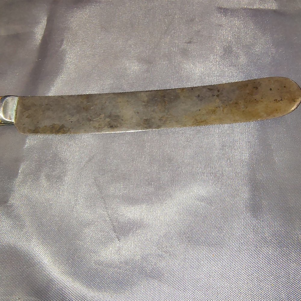 Antique Mid-Late 1800's Unmarked Bone Style Handle Knife Rounded End Very Sharp