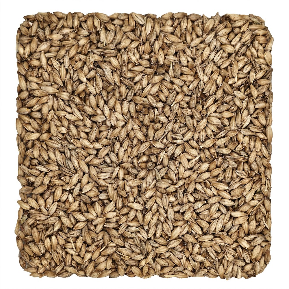 Home Brew Ohio Montana Pilsner Grain 55lb