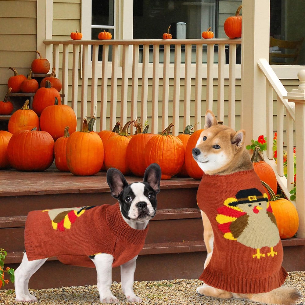 PAYHTOW Thanksgiving Dog Sweater, Knitted Medium, Brown Turkey