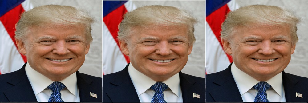 Trump Bookmark # 3