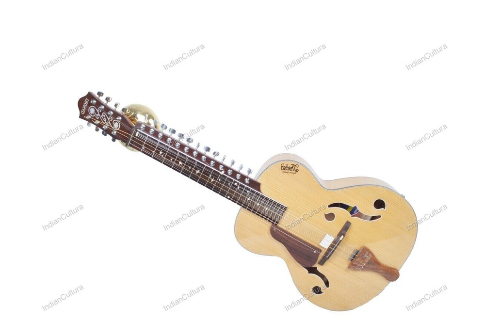 CUSTOM MOHAN VEENA GREAT SIDE WEISSENBORN STYLE MAX STRING PRESSURE