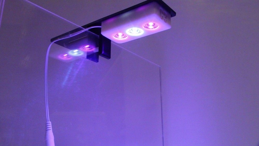 Refugium light CHAETO C3L Mini Refug LED Light For Small Tanks