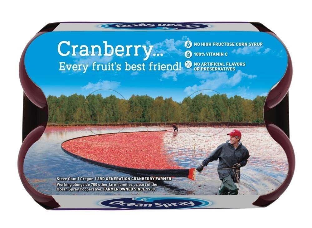 Cran-Grape Cranberry Grape Juice Drinks, 10 Fl Oz Bottles, 6 Count
