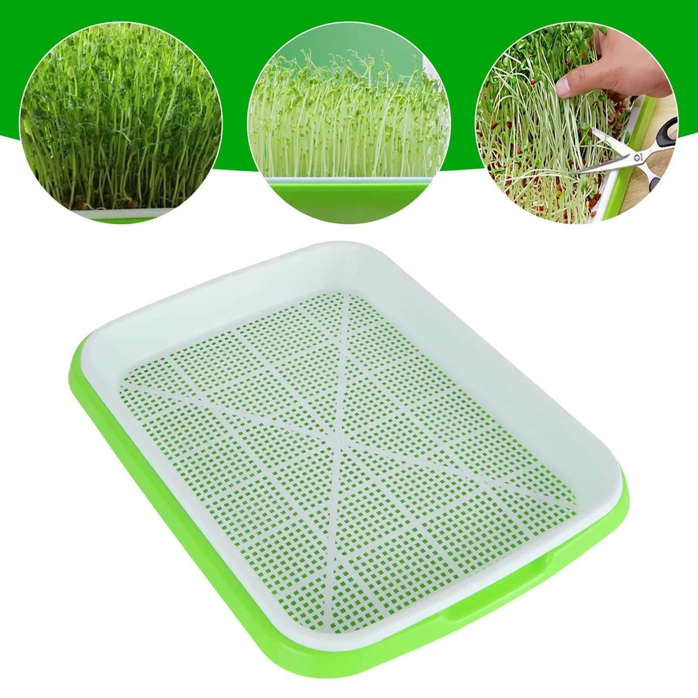 Hydroponic Microgreens Sprouter Tray – Ideal for Sprouting & Nursery Use