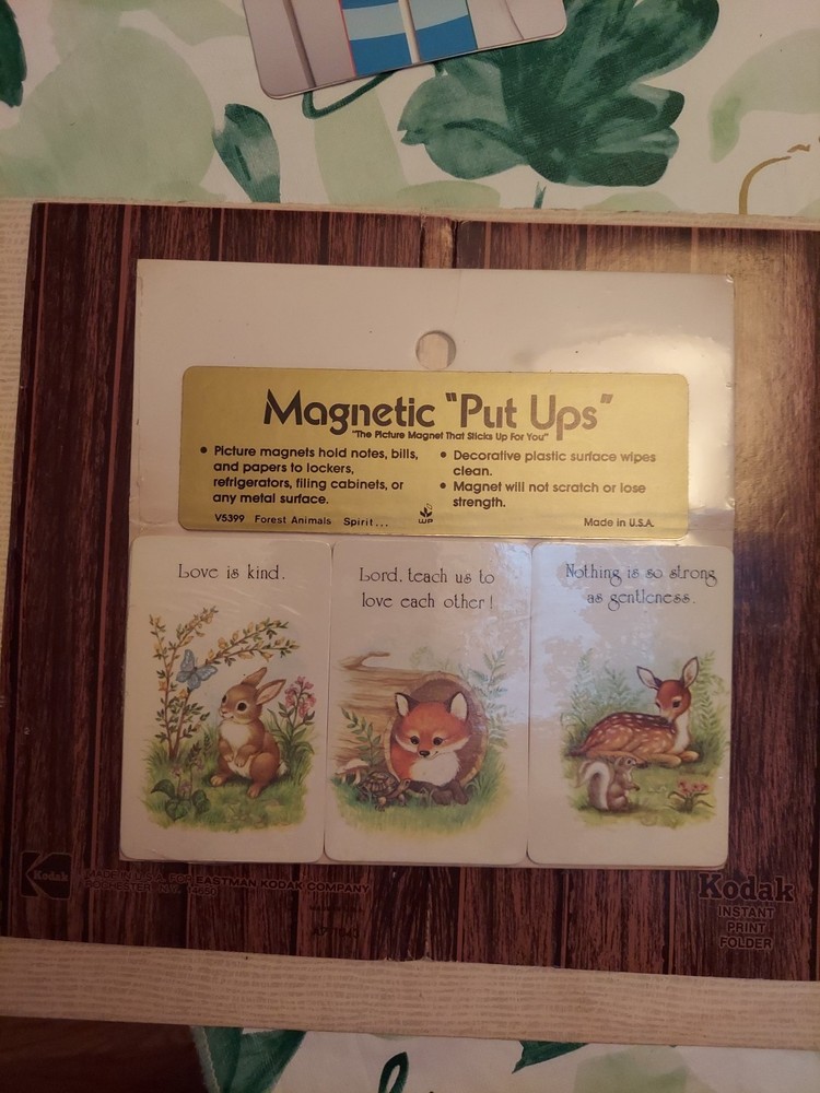 VINTAGE ~Magnetic "PUT UPS"