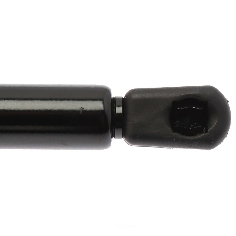 Liftgate Lift Support Strong Arm 4557