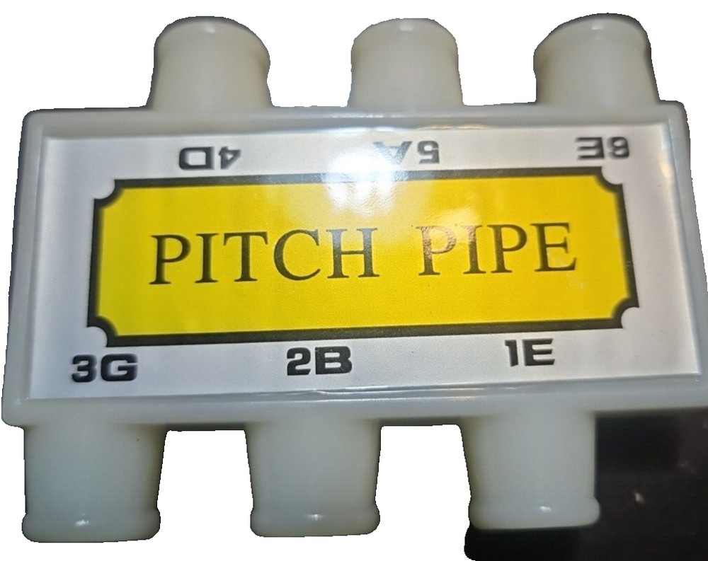 E B G D A E 6 Tones Guitar String Tuning Plastic, Pre-owned Never Used (A1)