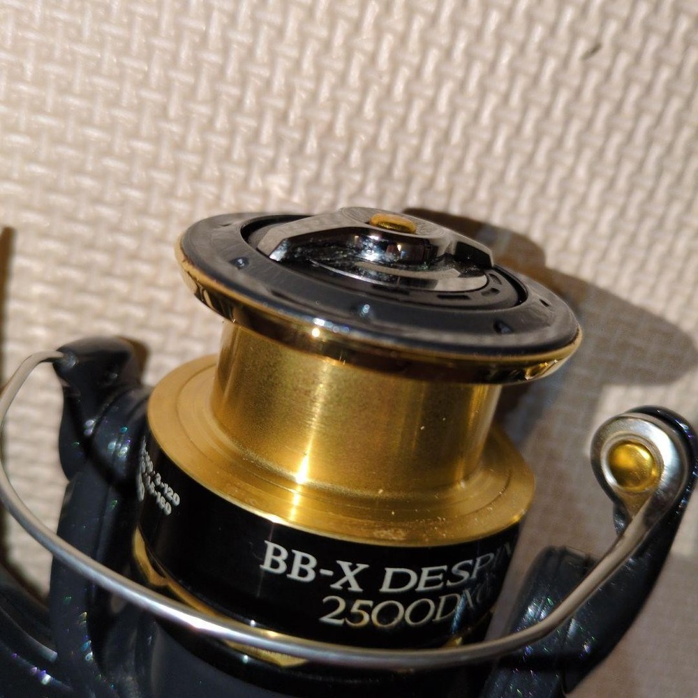 BB-X DESPINA 2500DXG
