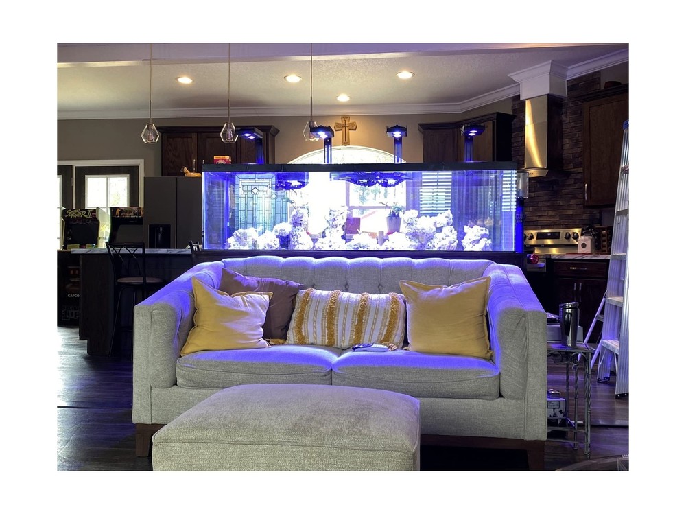 Aquarium Light - 95 Watt Sunrise Sunset Moonlight, Group Control Program Cora...