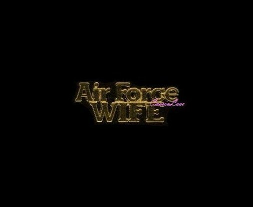 Air Force Wife (script)  + a custom promo pin