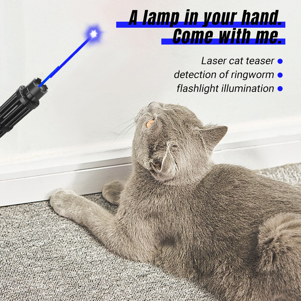 Adjustable High Power Blue Burning Laser Pointer Visible Dot Torch Light 5-head