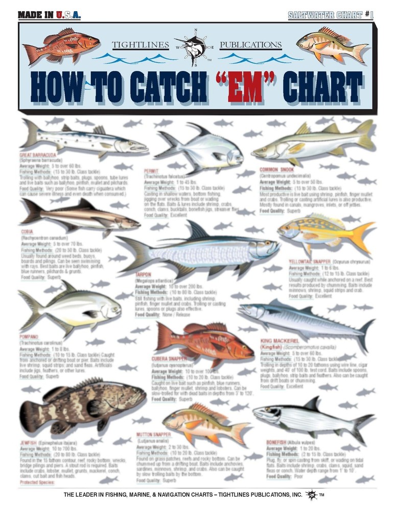 Fishermen's Saltwater Fish Identification Set - Waterproof Quick Reference Guide