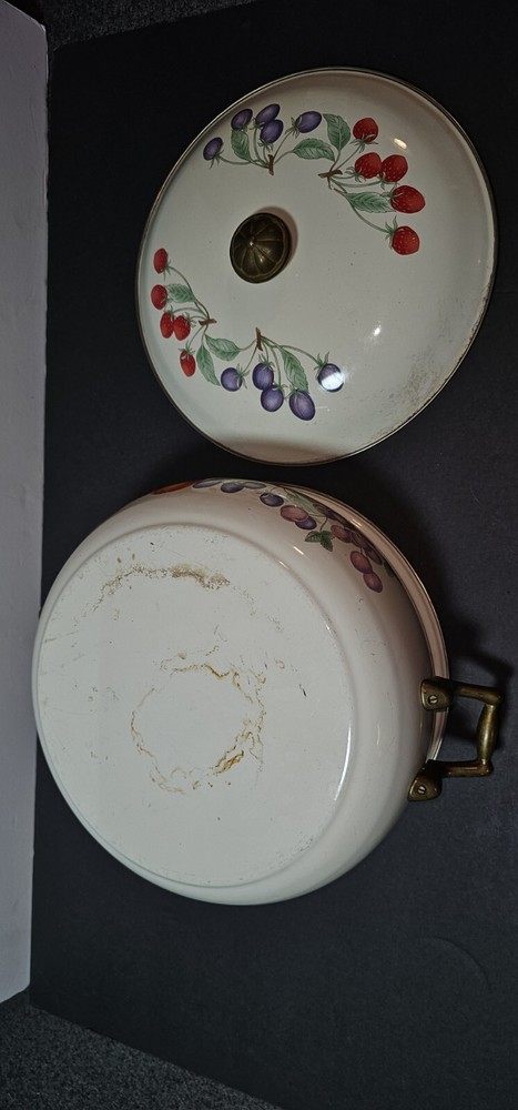 Vintage Regency Spring Fruit 4.5 Quart Dutch Oven