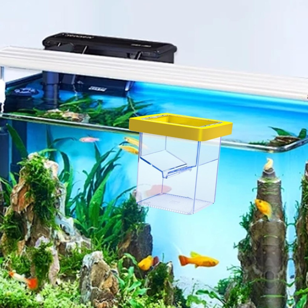 Fish Breeding Isolation Box Fish Isolation Box Floating Square Acrylic
