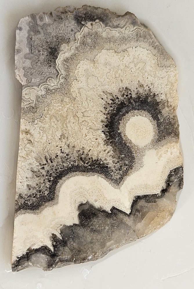 Unknown Interesting Lapidary Slab 27 Grams