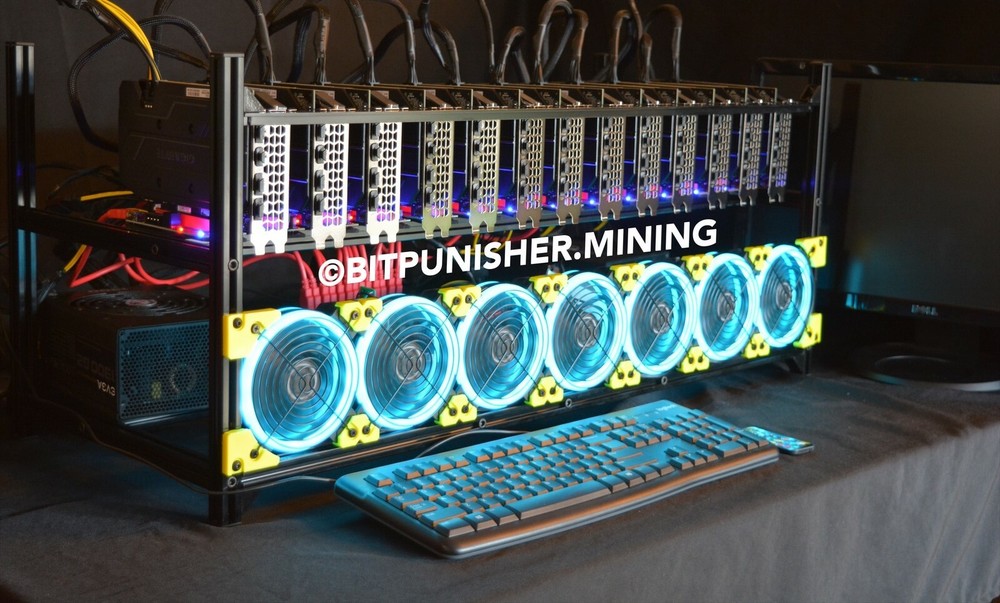 Starter Bitcoin Mining Rig Open Frame 0-GPU Pro Cryptocurrency Miner BITPUNISHER