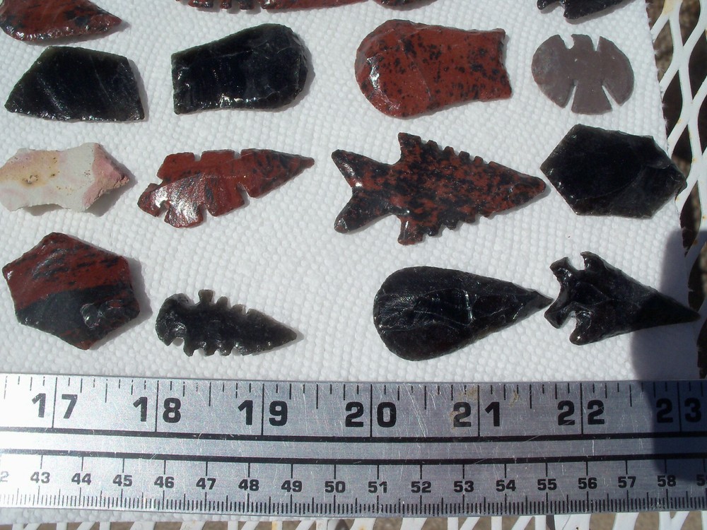 5 exotic Arrowheads per lot.