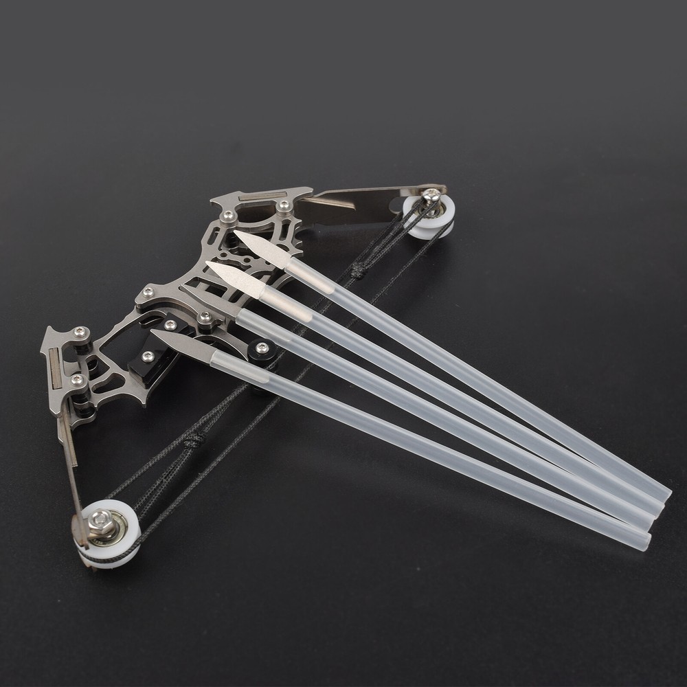 MINI Archery Compound Bow Type with 12 Arrows for Hunting Shoot Target Practise