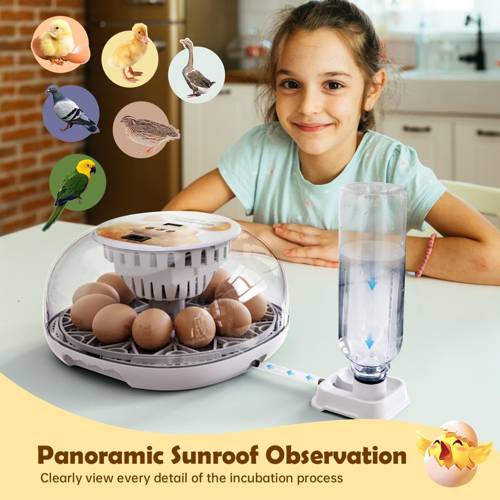 Egg Incubator for Hatching Chicks, Automatic Egg Turner Holds 12 Eggs, Smart ...