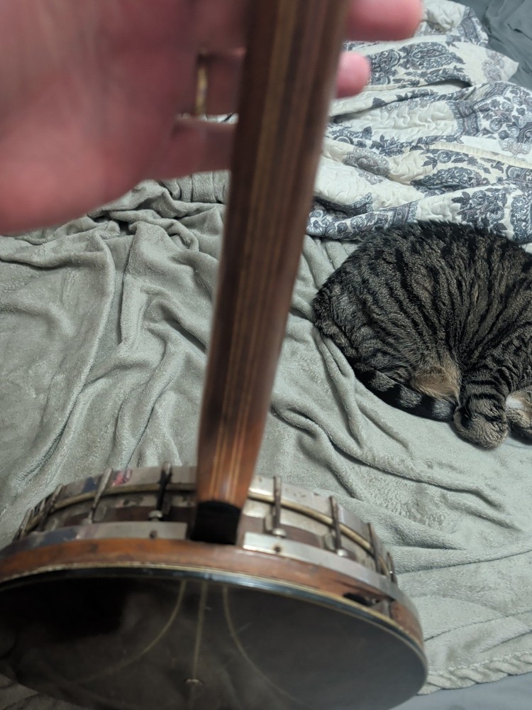 1920's Supertone Banjo