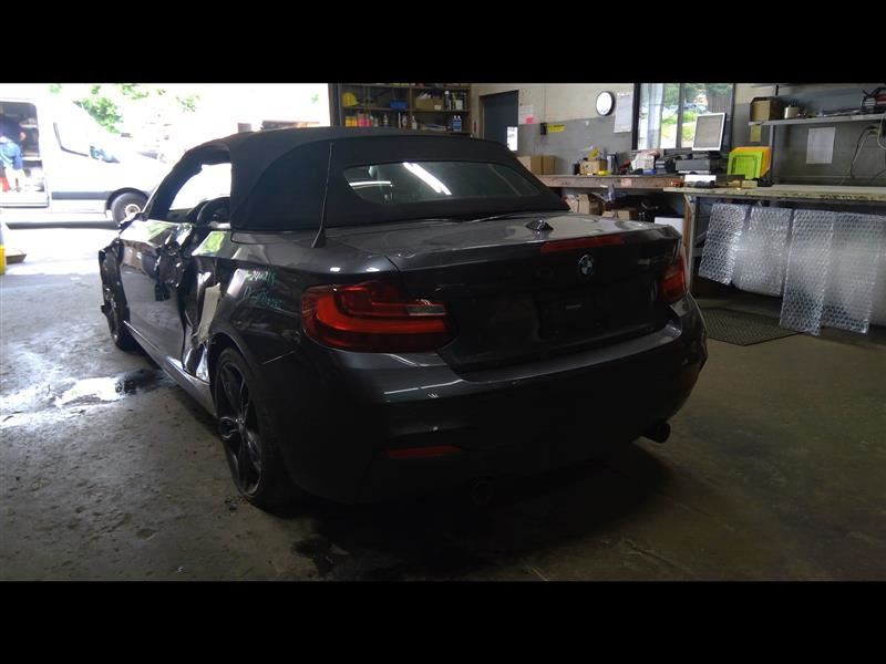 Active Sound Amplifier 2017 BMW M240i 6834089