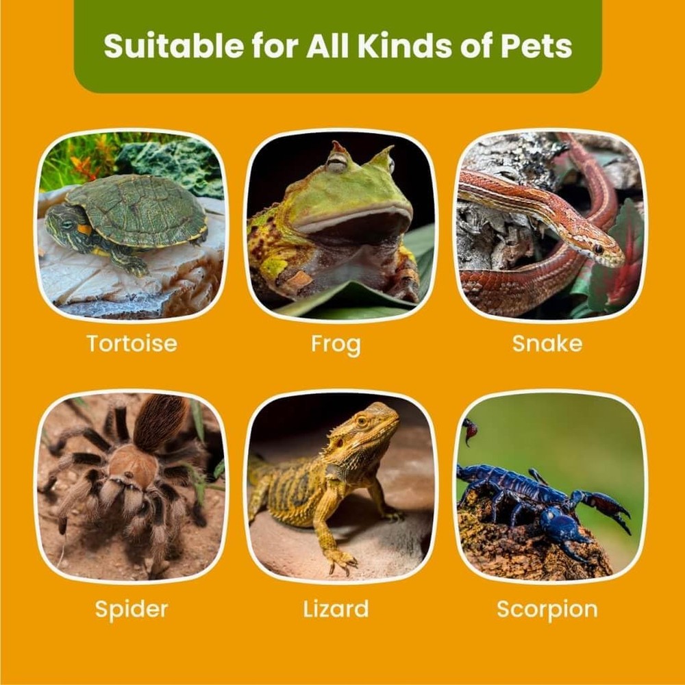 Turtle Basking Platform with 3 Suction Cups - Large Turtle Basking Platform -...