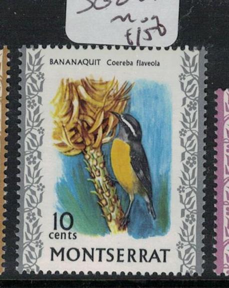 Montserrat Bird SC 247a MOG (3ecs)