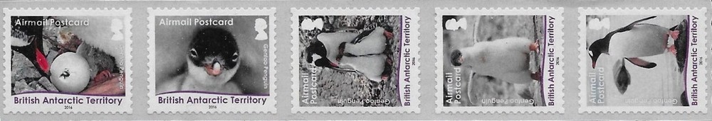 British Antarctic Territory Scott # C43a MNH