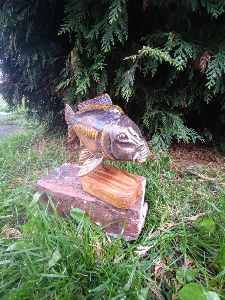 Carp Fishing, linear Carp Display, statue