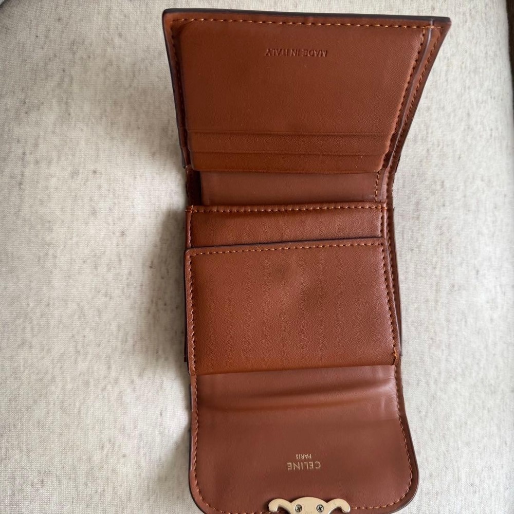 CELINE Small Flap Wallet Triomphe