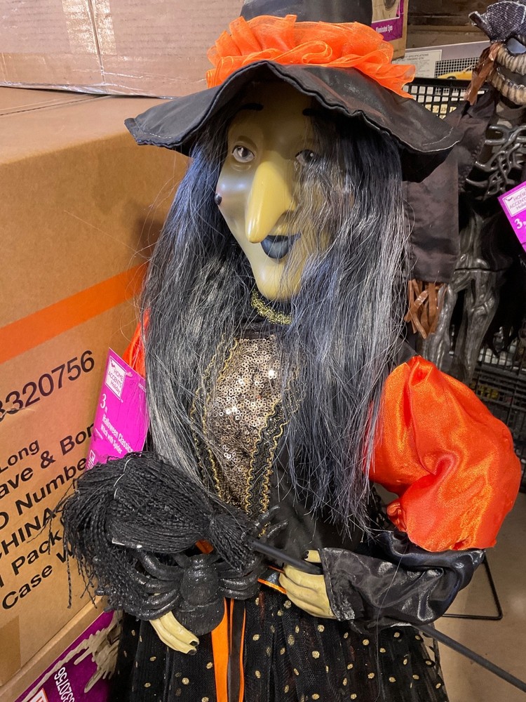3 ft. Halloween Witch with Spider