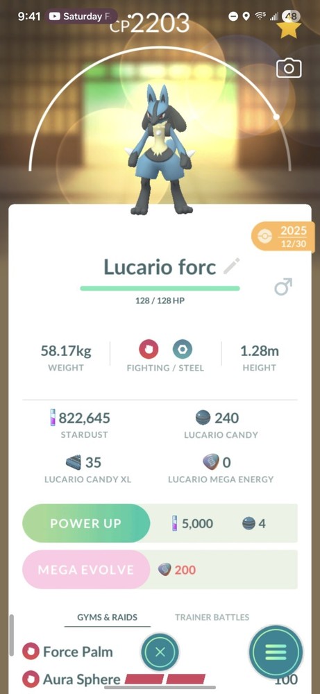Pokemon Lucario GO Force PALM