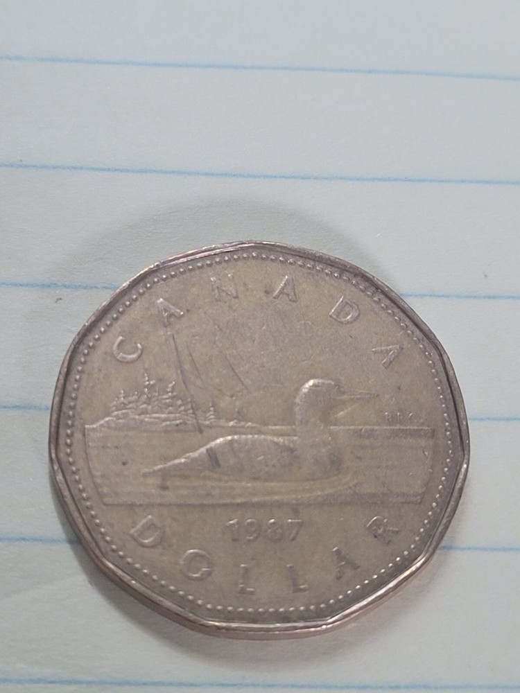 1987 CANADA ONE DOLLAR COIN ( VF+)