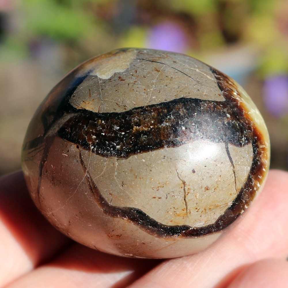 Polished Septarian Nodule (SEP21)
