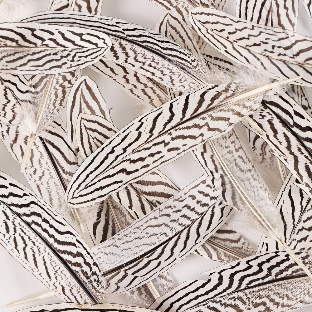 12Pcs Silver Pheasant Feathers Bulk Natural Spotted Feathers Pheasant Feather...