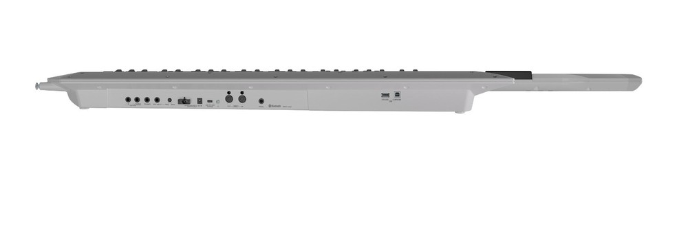 Roland AX-Edge Keytar - White CABLE KIT