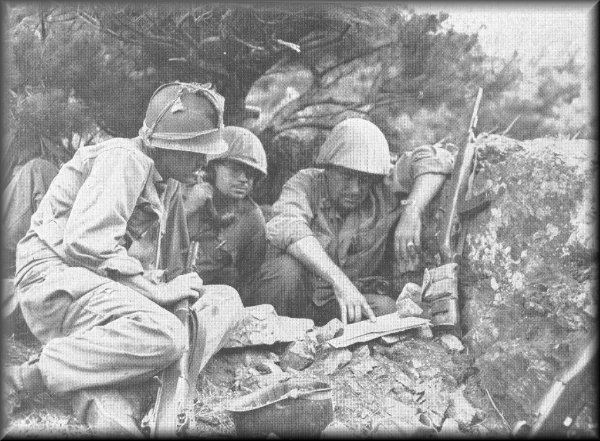 3192 KOREAN WAR IMAGES ON CD ROM A GREAT COLLECTION