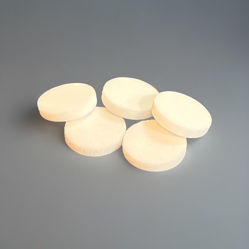 BW Particulate Pump Filter Replacement (5/Pack) GA-PFMAX