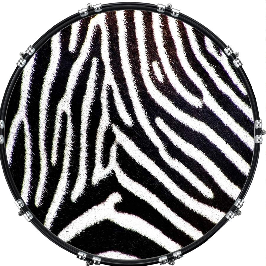 20" Custom Bass Kick Drum Front Head Graphic Graphical Zebra