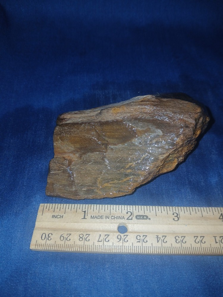 9 oz Texas Petrified Wood