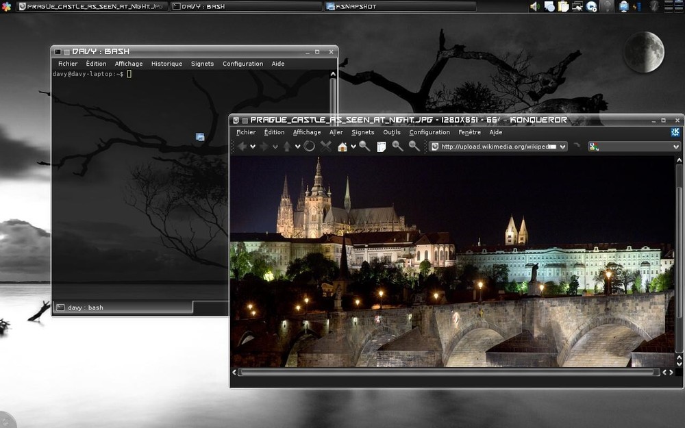 Discretee Linux Installer DVD Protect protection against trojan-based treats TOR