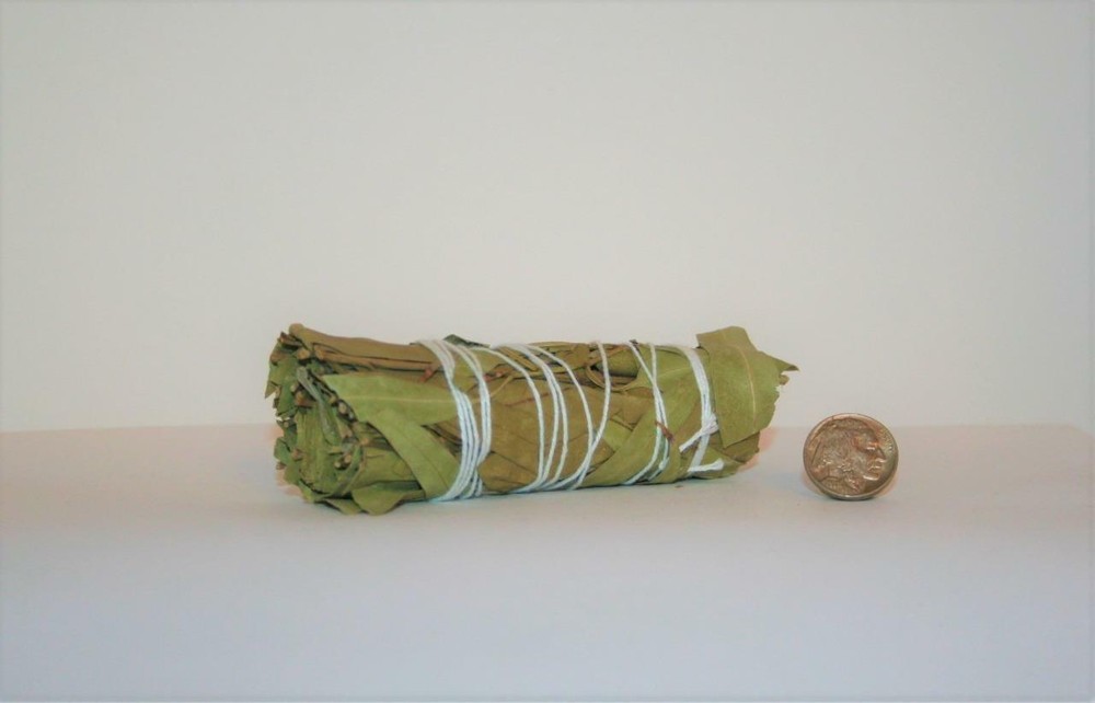 Eucalyptus Smudging Sage Bundle 4 - 5 Inch Natural Healing Herb Aromatherapy
