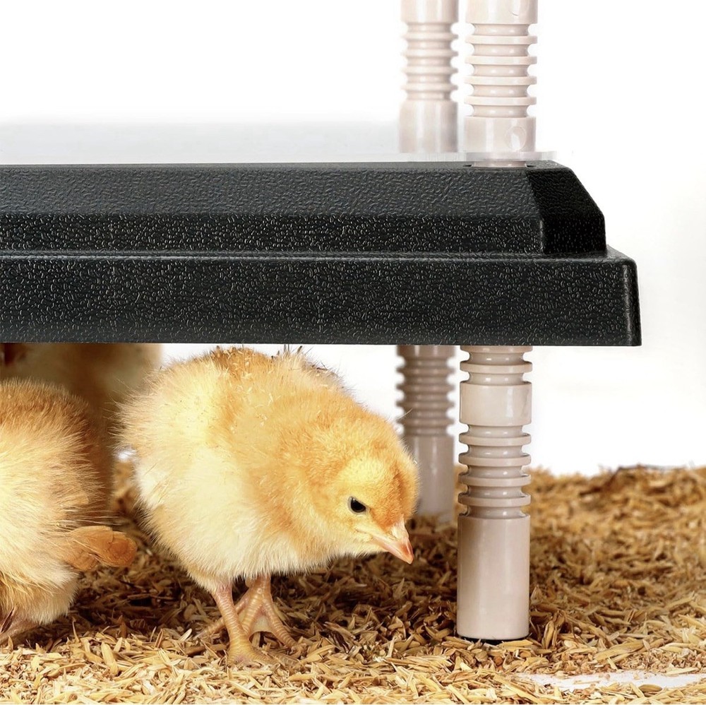 Brooder Heating Plate for Chicks Adjustable 12x12 Warmer 22W Coop Heater Black