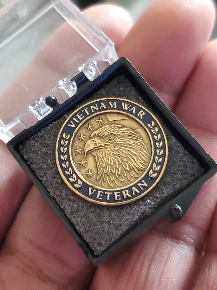 Vietnam Veteran Pin